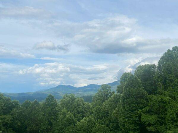 larry-williams-1LXRCnGmkV8-unsplash smoky mountains land for sale