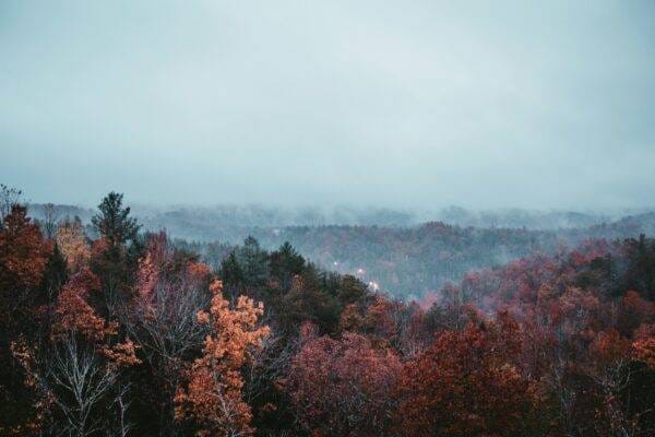 sean-foster-jQoJVCVD9uY-unsplash Pigeon Forge cabins for sale - Log homes and cabins for sale in Pigeon Forge TN