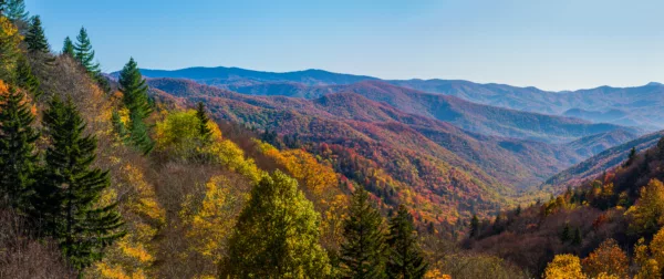 Autumn in the Great Smoky Mountains National Park