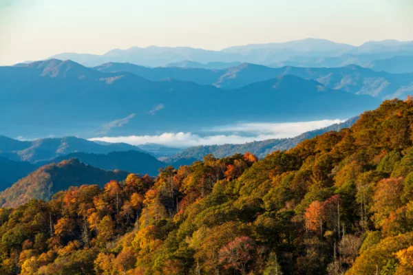 vibrant early morning autumn in the Great Smoky Mountains nation Smoky Mountains cabins for sale with high rental history- Pigeon Forge TN Investment real estate, Sevierville to Gatlinburg TN - Investment properties ROI - REALTOR ® Prime Mountain Properties